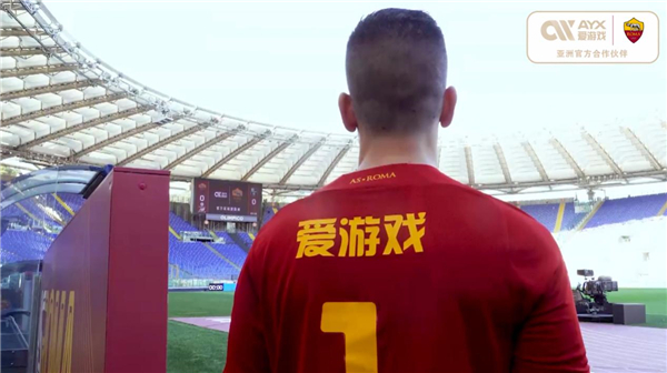 进专业性人